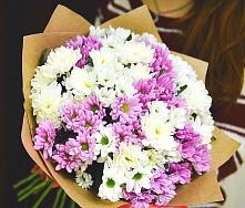 Букет цветов из:  Хризантемы #REPLACE_PRED# Мишкинской