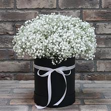 Цветочная композиция из Гипсофила в шляпной коробке в Мишкинской