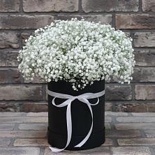 Цветочная композиция из Гипсофила в шляпной коробке в Мишкинской
