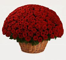 Премиум букет из: Розы #REPLACE_PRED# Мишкинской