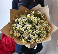 Букет цветов из:  Ромашки #REPLACE_PRED# Мишкинской
