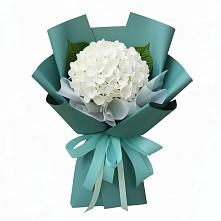 Букет цветов из:  Гортензия в Мишкинской